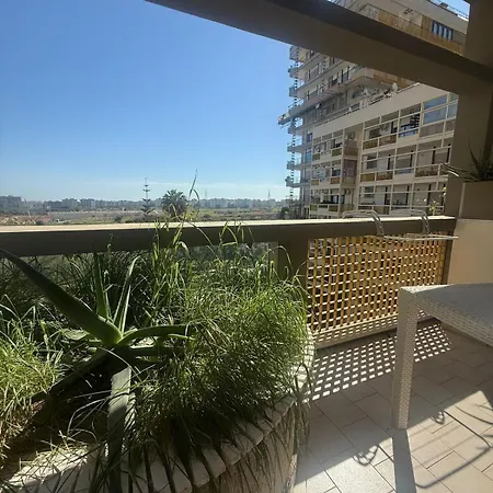 Aloa Terrace Executive